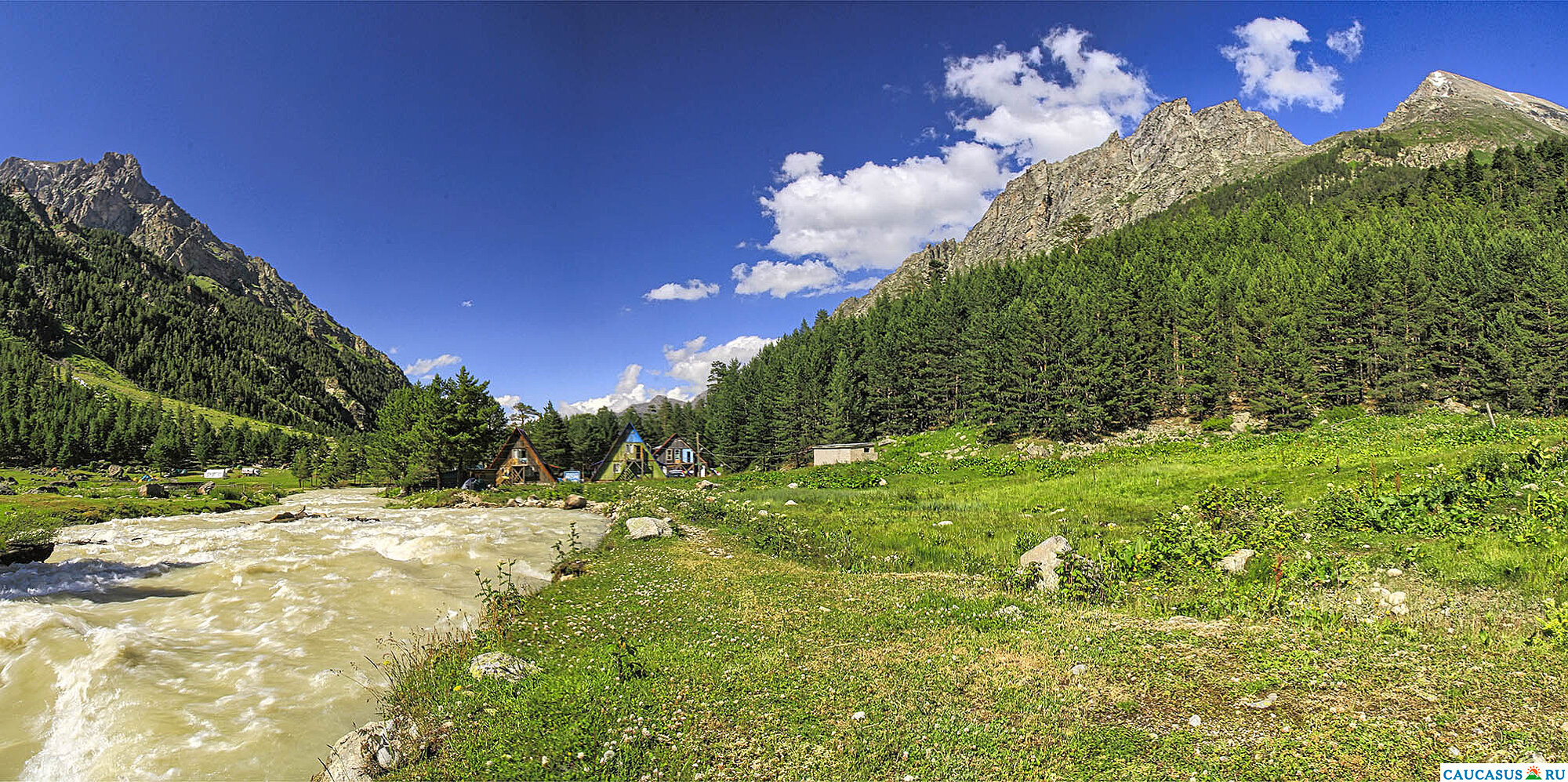   2008