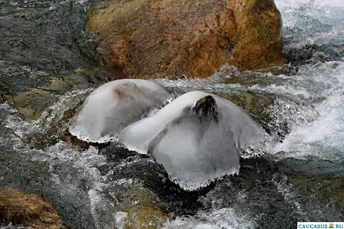 Ледяные медузы в ручье.