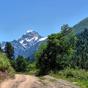 ���� �������. ����������. 3637., ���� �����.