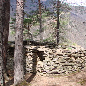 ���������� ���� "��� �����"