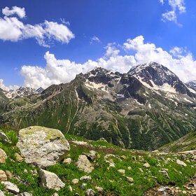 ���� �������. ����. ��� ������� �����