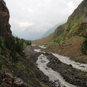 ���� �������. ����������. ������ ����