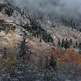 ���� �������. �����. ����������� ������ �����.