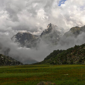 ���� �������. ������. ������