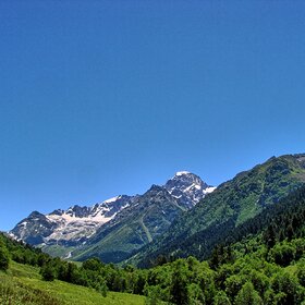 ���� �������. ������� �������. ������ �����.