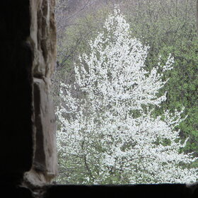 �����. ������ �� ���������� �����.