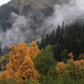 ���� �������. ���. ���������� �����.