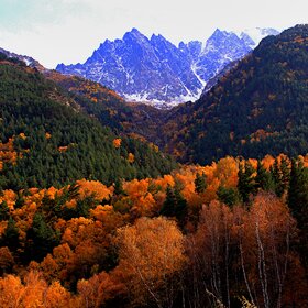 ���� �������. ������������. ������� ����� �����