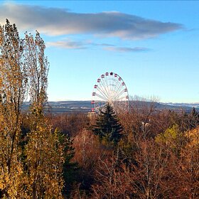 ���� �������. ����������. ������� �� ��������� "��������" � ����������.