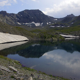 ���� �������. ������. ��� ��������� ���������