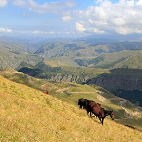 ���� �������. ������. ������������, �������� �����