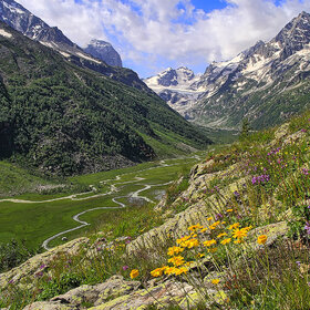 ���� �������. ������. ������ �����