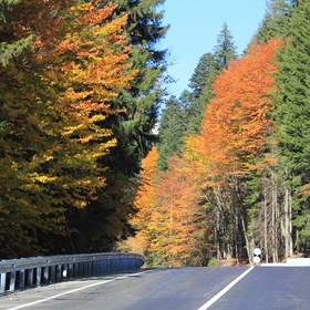 Осенняя дорога. (2)