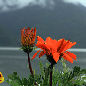 ���� �������. ����. � ����� ����