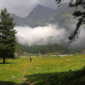 �������