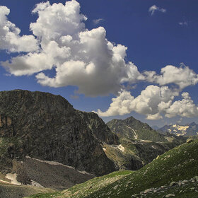 ����� ���� �������. ������ ���� ���������