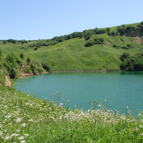 ���� �������. ����� �������. ���� �������.