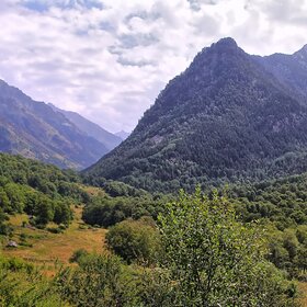 ���� �������. ������� �������. �������-��������.