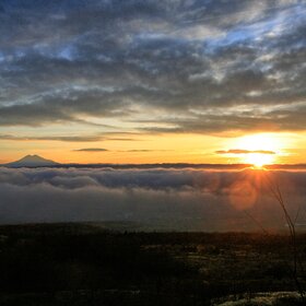 ���� �������. ����������. �����.