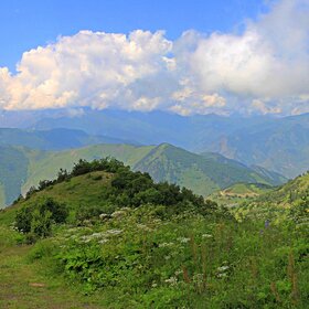 ���� �������. ��������� �������. � ���������� ��������.