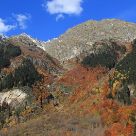 ����� � ������.