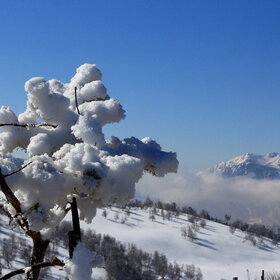 ���� �������. ����������. �����. ����.