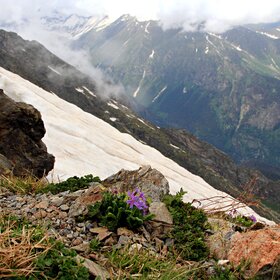 ���� �������. ������ ����� ���� � �����. �������, �� ������� ��������.