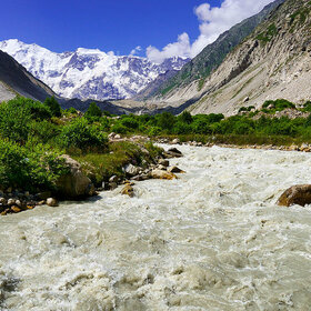 ���� �������. ����. ����� ������������