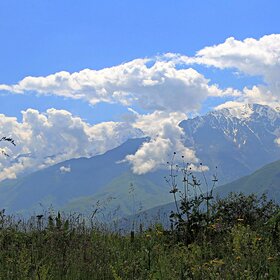 ������� �� ��������� ��������.