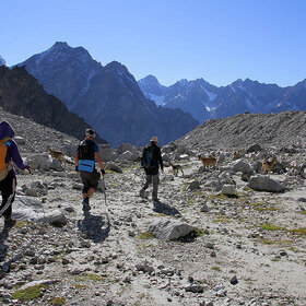 ����� - �����