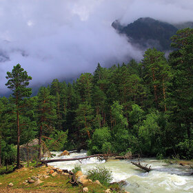 ����� ���� �������. �������