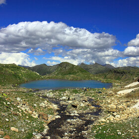 ���� �������. �����. ������� ��������� �����