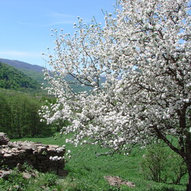 ����� � ��������.