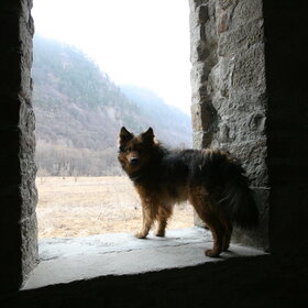 ���� �������. ����� ����. ������� � ������ ���.