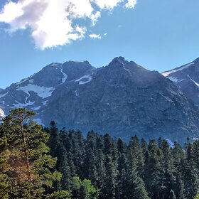 ���� �������. ����������. ��� �������.