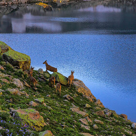 ����� ���� �������. ���� � �������� ���������� �����