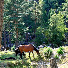 ���� �������. ����. ������������� ��������.