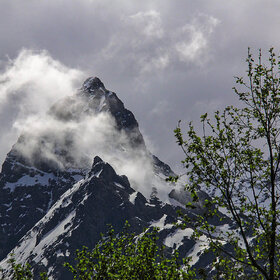 ���� �������. ����������. ���������