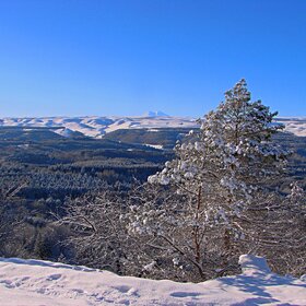 ���� �������. �������. ������������ ����.