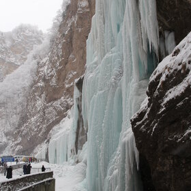 ���� �������. ���. ˸� ��������� ���������