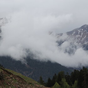 ���� �������. ����������. �� �� ��������.