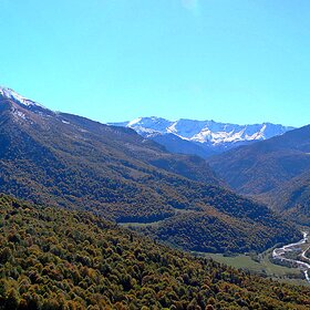 ���� �������. �������. ������ ���������