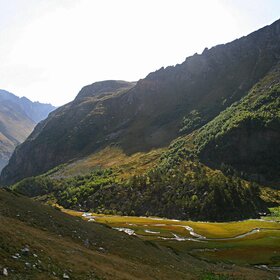 ������ ���� �������. ������ �����.