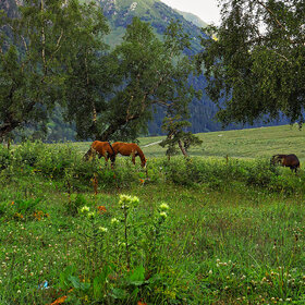 ���� �������. ���. ���� �� ��������� ������