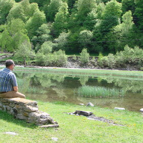 ���� �������. ����. ������� �������. ����������.