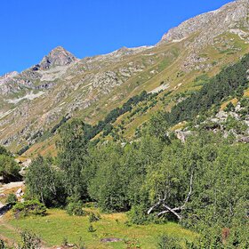 ������ ���� �����.