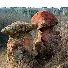 Каменные грибы.