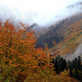 ���� �������. ���. ����� � �����.