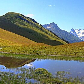 ���� �������. ��� ��������. � ���� ��������.