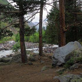 ���� �������. �������. ***